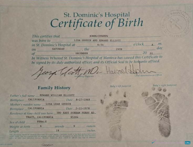 Download United States St. Dominic's hospital birth certificate Photoshop template